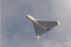 Флагшток: Беларуские военные сбили над Гомелем как минимум один беспилотник